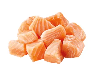 NATURE'S VARIETY CAT NO GRAIN ADULT SALMON NORWEGIAN