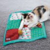 CAT PUZZLEMENTS POCKETS