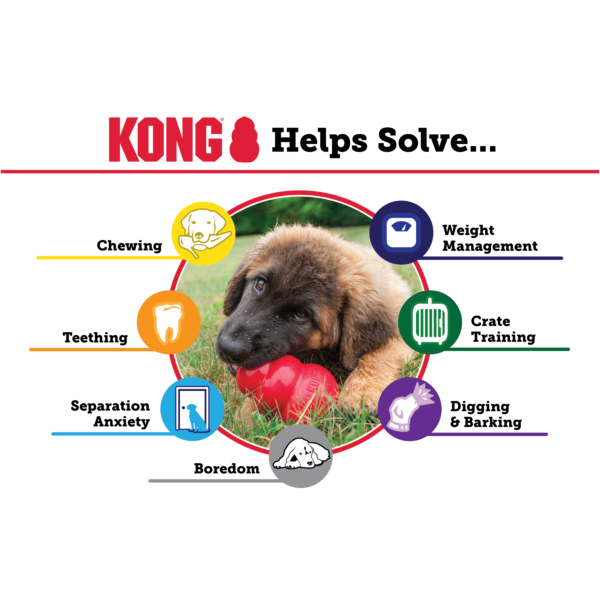 KONG CLÁSSICO