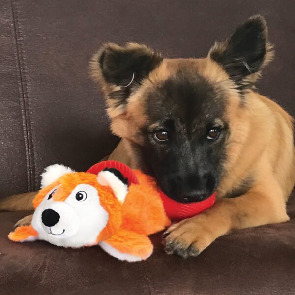 KONG CASTOR ACONCHEGANTE POCKETZ