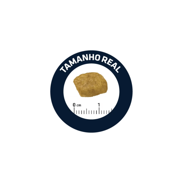 largeImage (1) AVANCE CAT VETERINARY DIETS RENAL