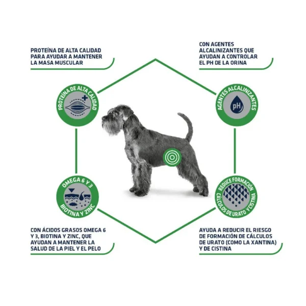 pienso_perros_urinary_low_purine_advance_ADV962072_M_1 ADVANCE VETERINARY DIETS URINARY LOW PURINE