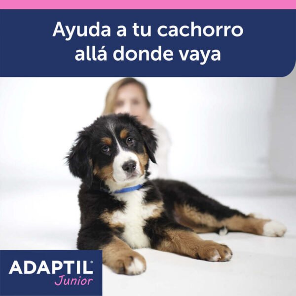 ADAPTIL JUNIOR