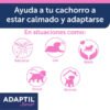 ADAPTIL JUNIOR