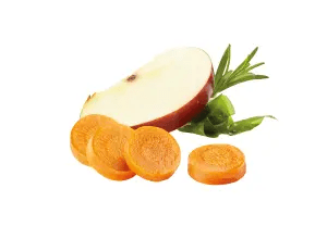 mediumImage (5) NATURE’S VARIETY HEALTHY GRAIN ADULT MINI PEIXE BRANCO