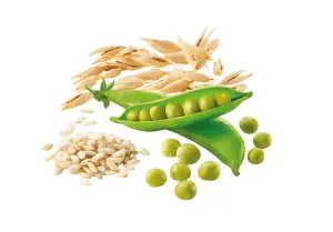 NATURE'S VARIETY CAT GRAIN KITTEN PEIXE BRANCO