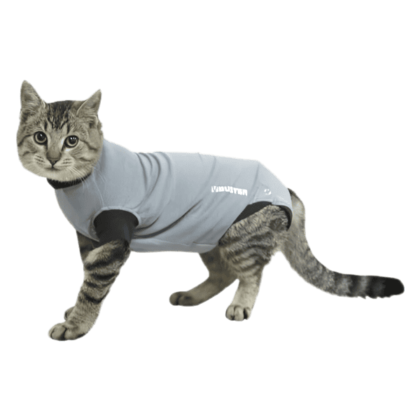 BUSTER BODY SUIT P/GATO, PRETO/CINZENTO