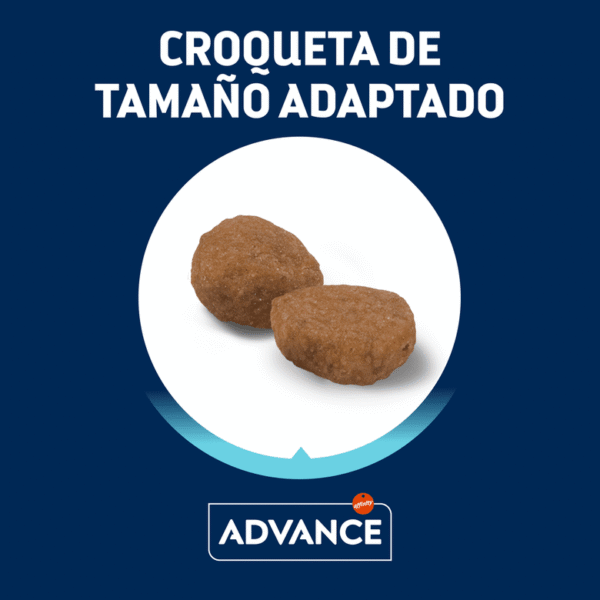 ADVANCE CAT ADULT FRANGO