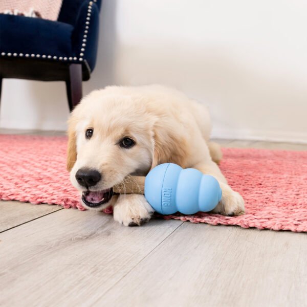 3e595d85-bb98-488a-ba78-49987650d1c3_medium__73143 KONG ZIGGIES ENHANCED PUPPY