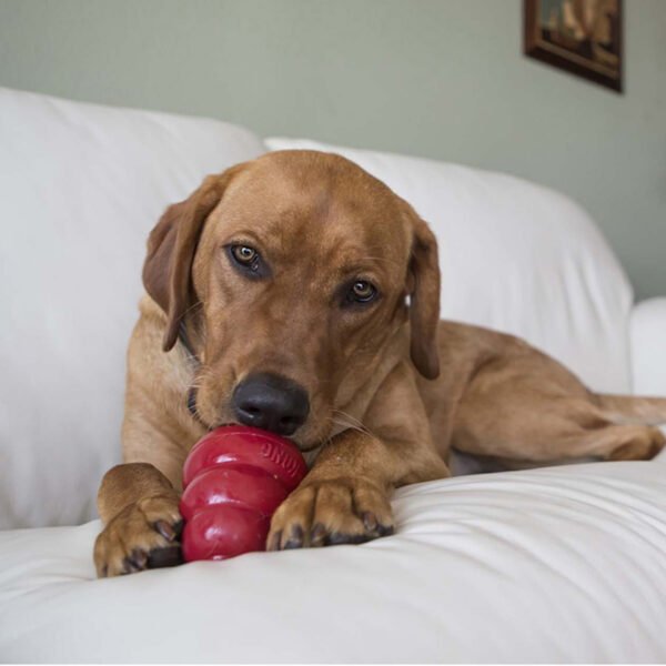 585a3454-f0fb-4494-911a-c372ae0ac1b8_medium__49685 KONG SNACKS BACON & CHEESE