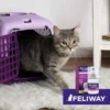 FELIWAY-SPRAY-Indication-2-600x600 FELIWAY CLASSIC SPRAY 20 ML