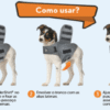 como-usar-671f87aa858a3_g THUNDERSHIRT