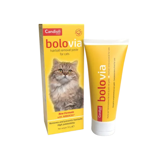 CANDIOLI BOLO VIA PASTE 50 GR